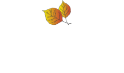HotelParkCity_Reverse
